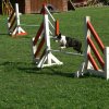 agility 2011-08